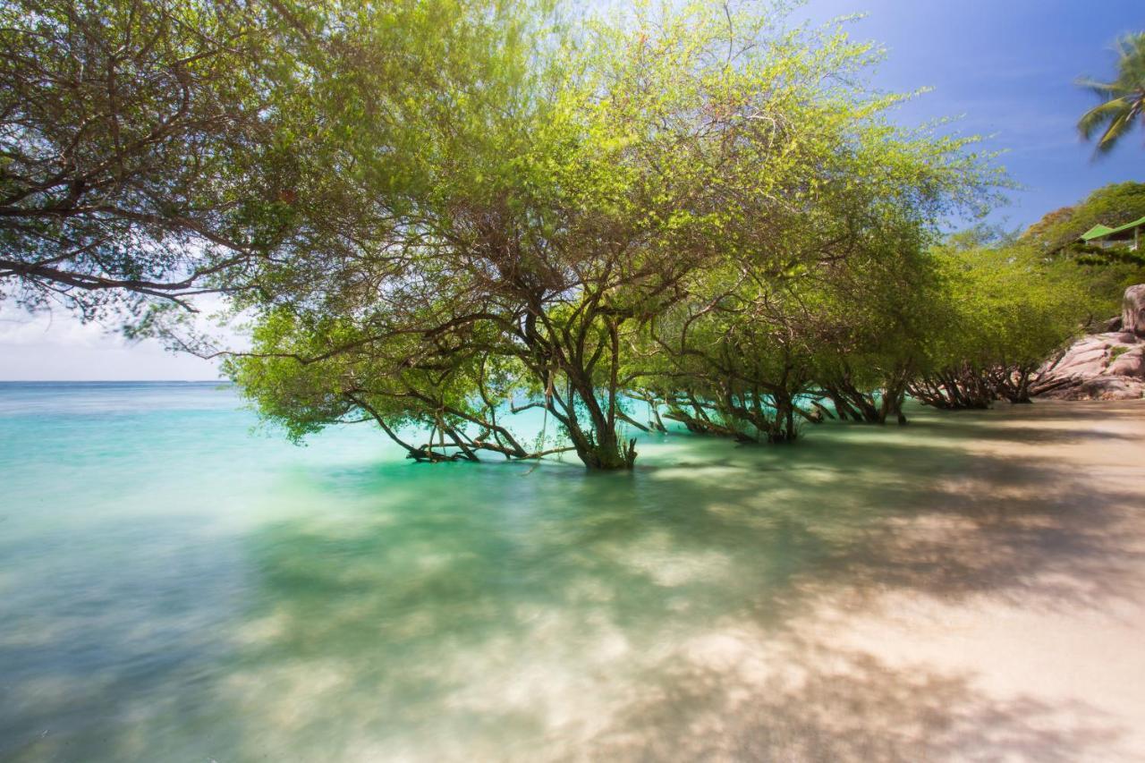Koh Tao Relax Freedom Beach Resort Kültér fotó